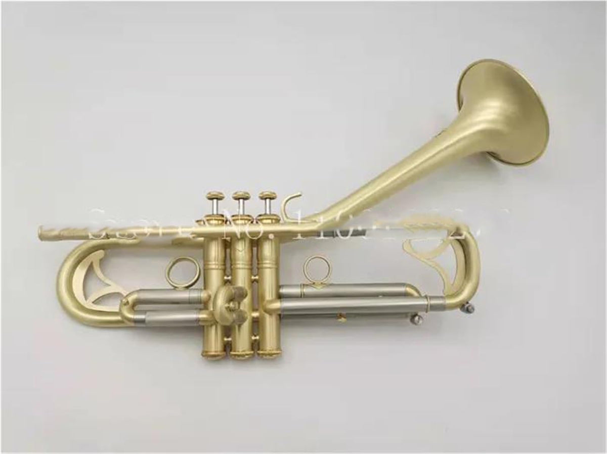 Bb Trumpet with Case and Mouthpiece D7809