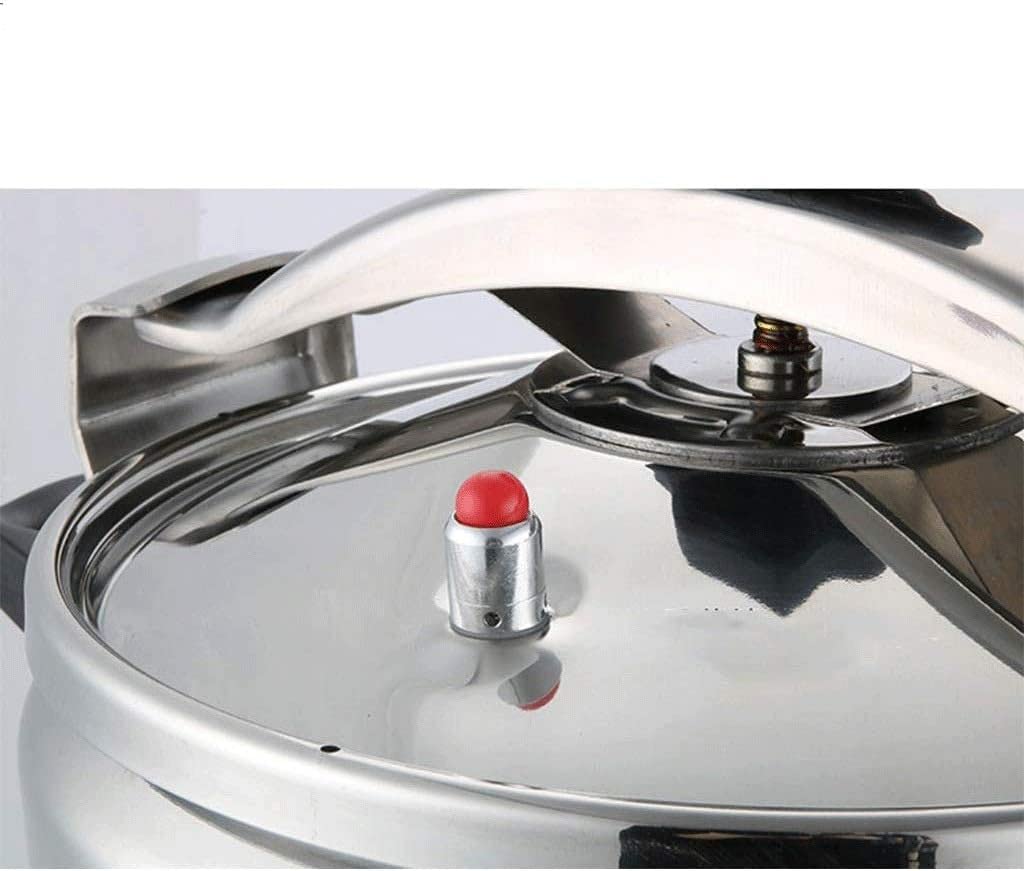 Stainless Steel 3L Electric Pressure Cooker Y170628