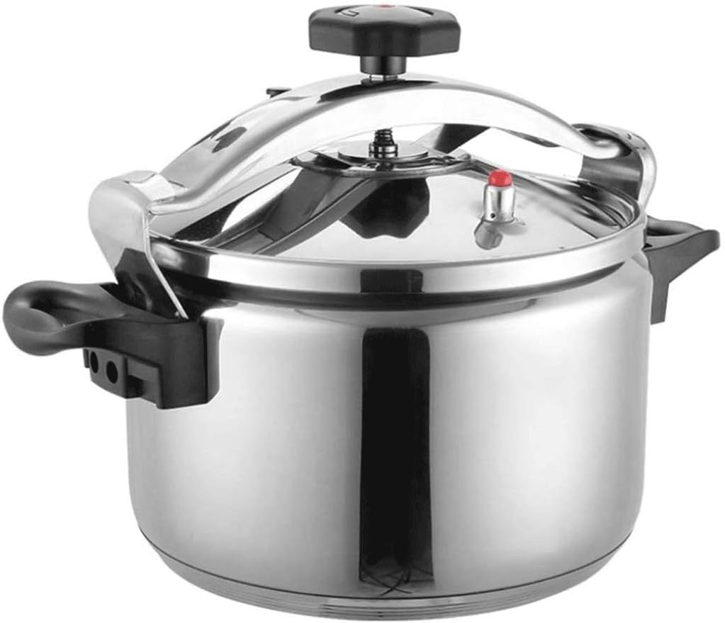 Stainless Steel 3L Electric Pressure Cooker Y170628
