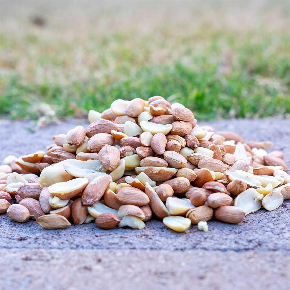 10 Pound Peanuts D5859