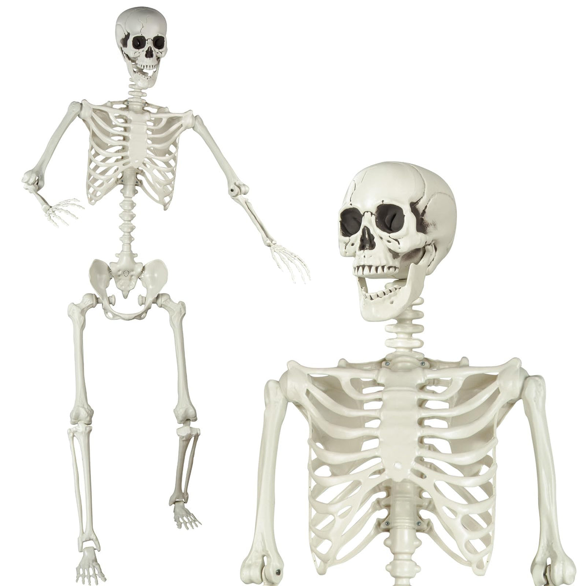 5.4ft Posable Skeleton Z171243