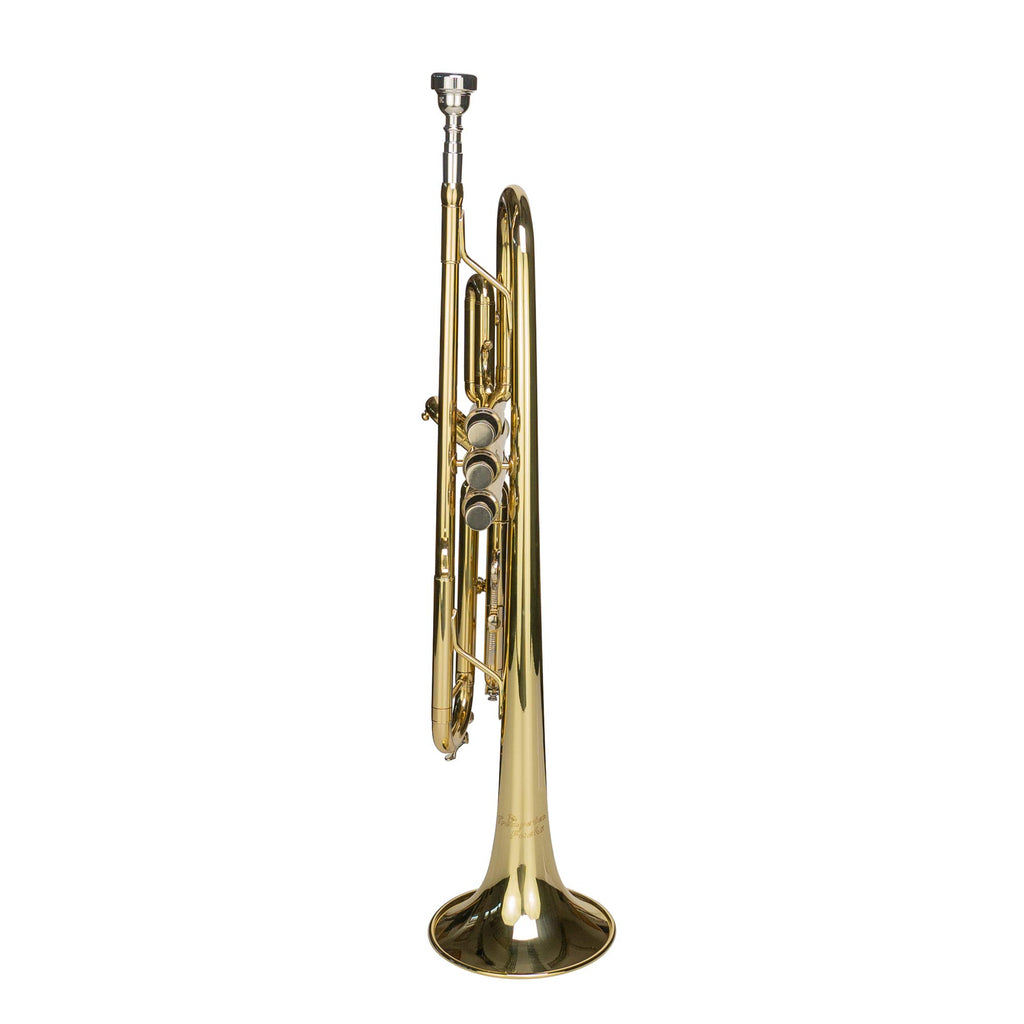 Bb Trumpet with Mouthpiece and Case W8731