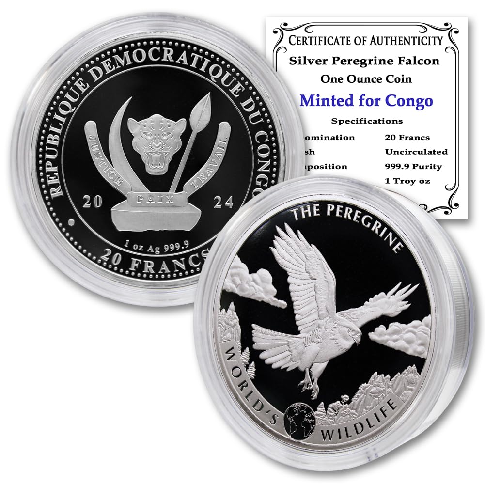 1 oz Silver Coin N88483