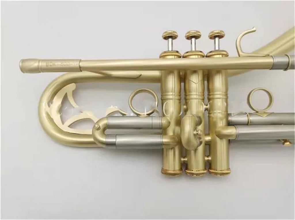 Bb Trumpet with Case and Mouthpiece D7809