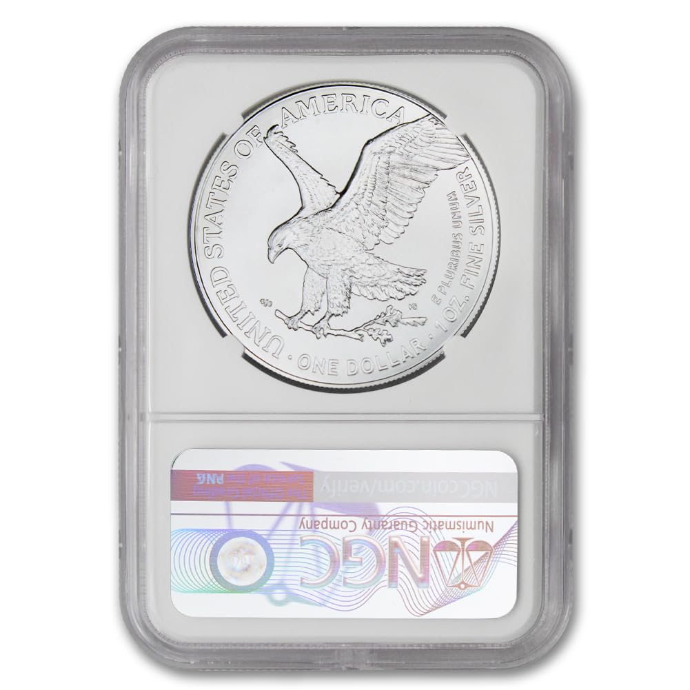1 oz American Silver Eagle Coin D3916