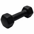 Neoprene Dumbbell Y288
