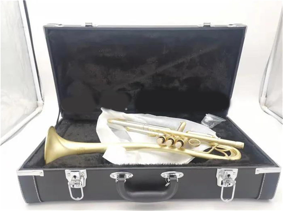 Bb Trumpet with Case and Mouthpiece D7809