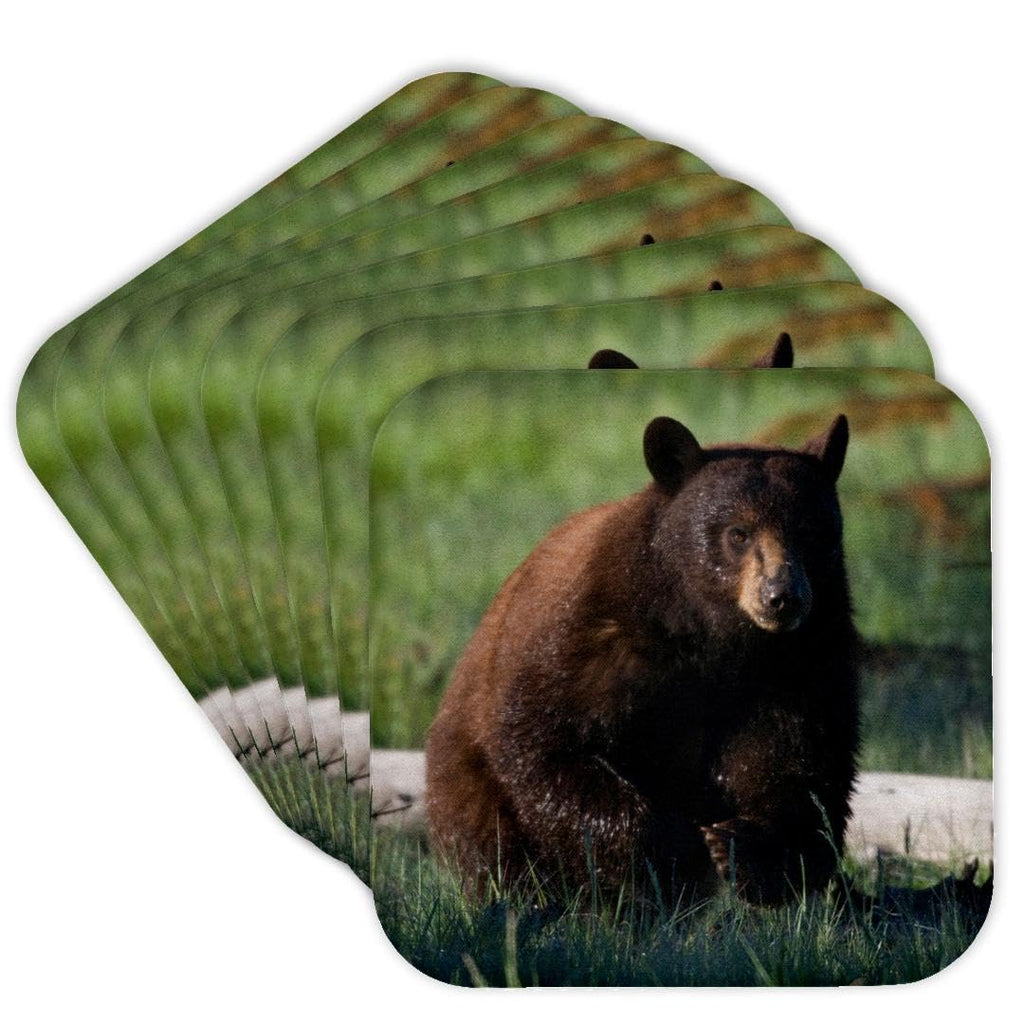 Set of 8 Cork Coasters P335