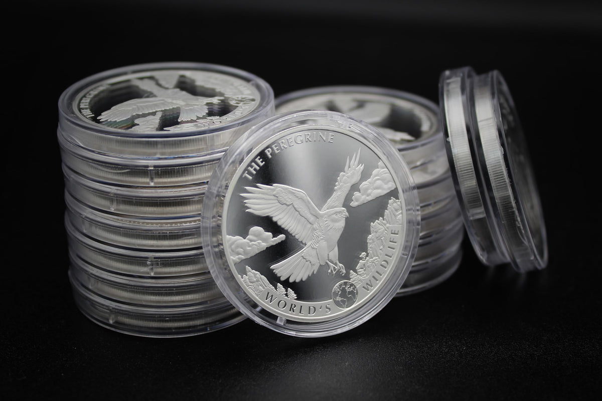 1 oz Silver Coin N88483