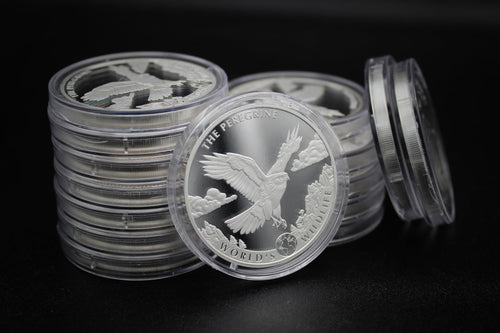1 oz Silver Coin N88483