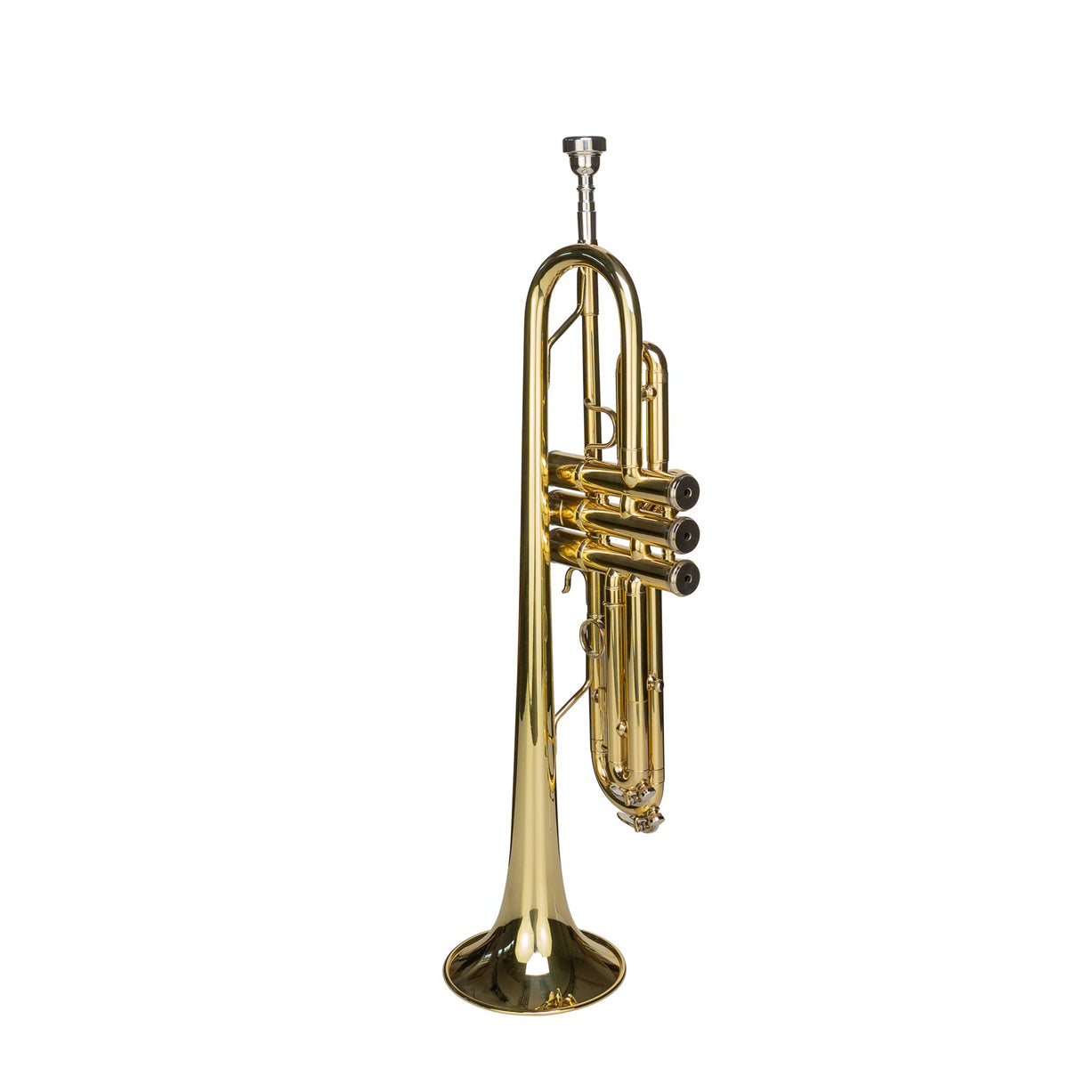 Bb Trumpet with Mouthpiece and Case W8731