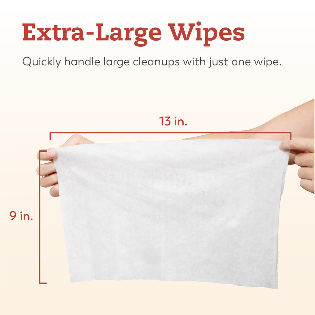 Medium Briefs Starter Pack, 2 Bags + Cleansing Wipes N293472