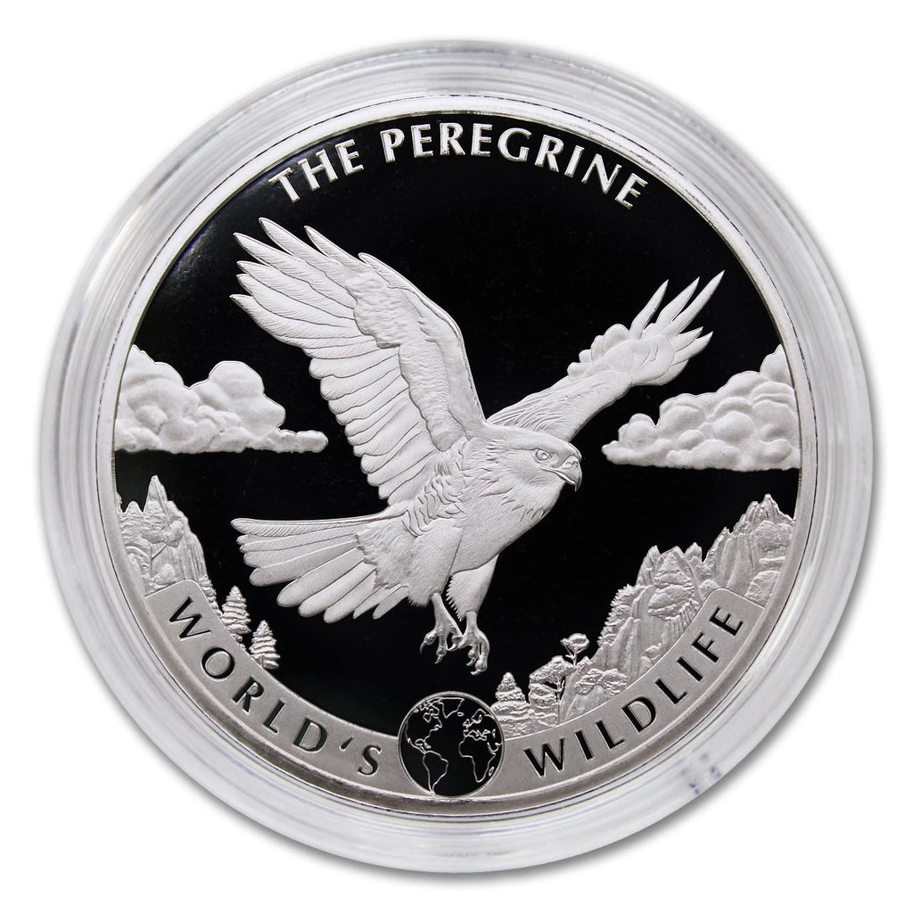 1 oz Silver Coin N88483