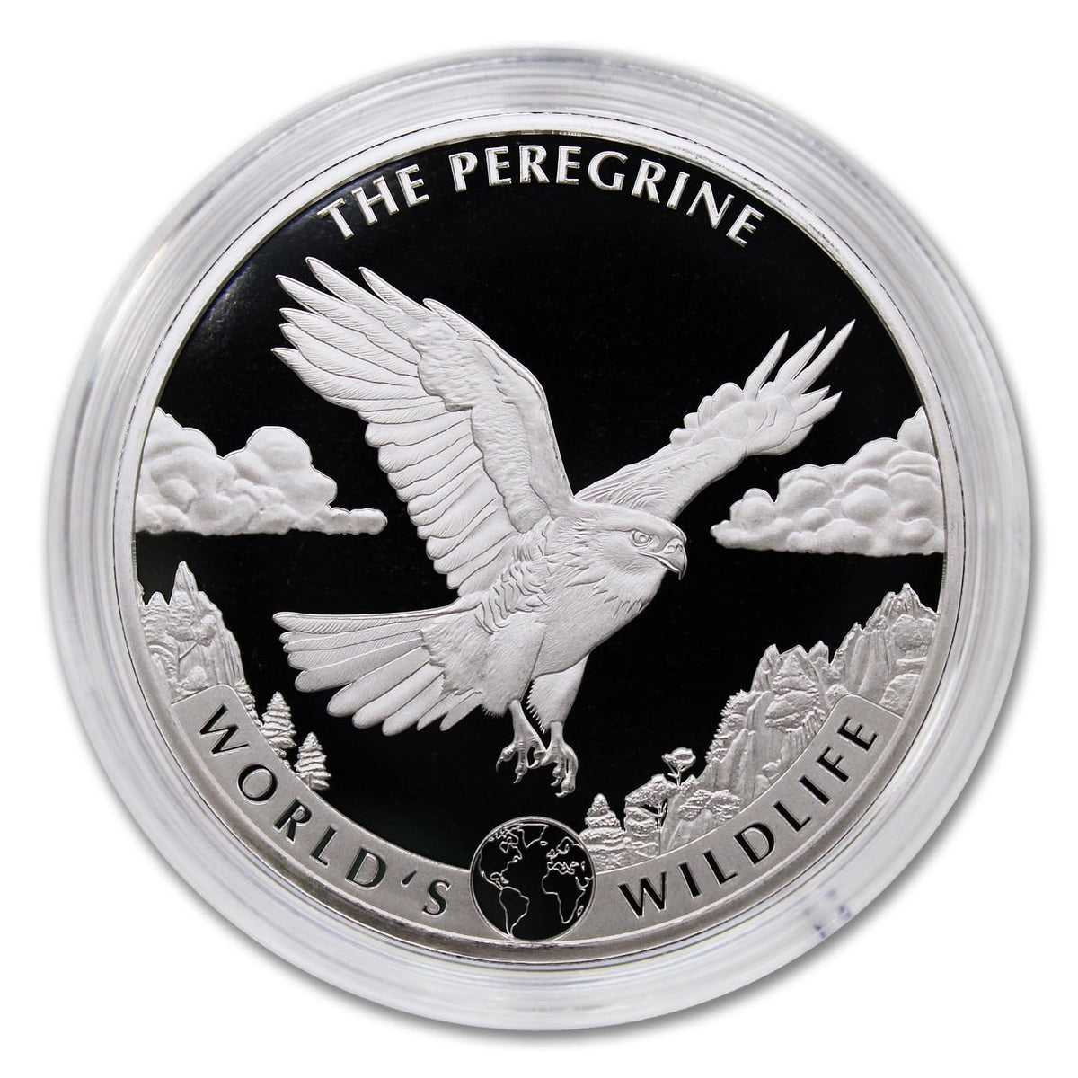 1 oz Silver Coin N88483