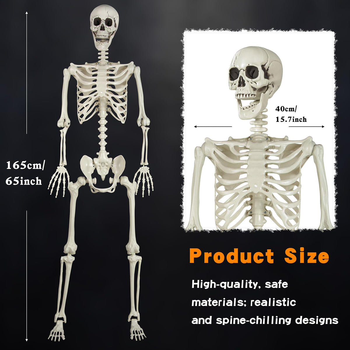 5.4ft Posable Skeleton Z171243