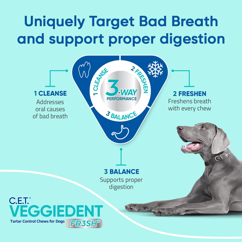 Plaque and Tartar Control Chews for Dogs, Medium C462990