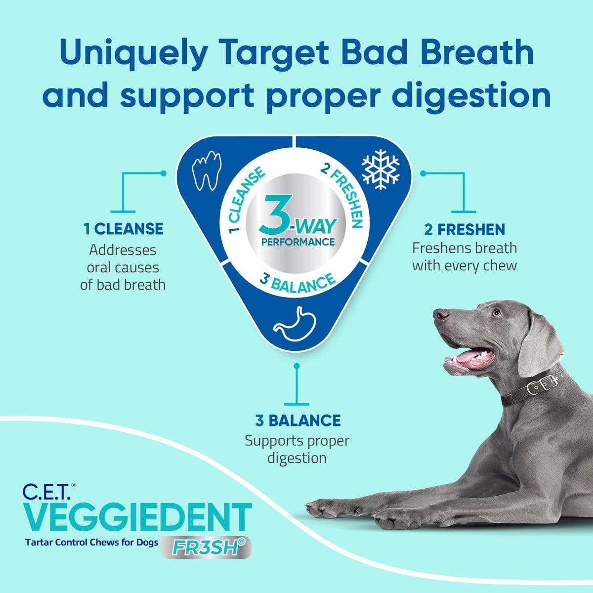 Plaque and Tartar Control Chews for Dogs, Medium C462990