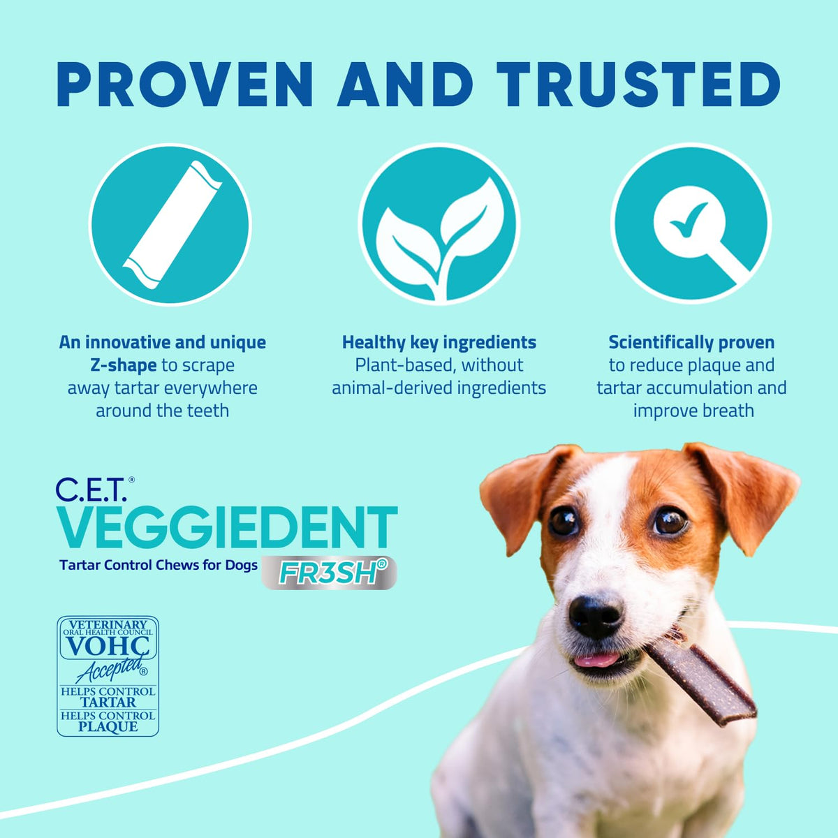 Plaque and Tartar Control Chews for Dogs, Medium C462990