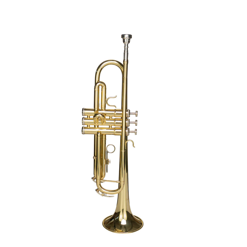 Bb Trumpet with Mouthpiece and Case W8731