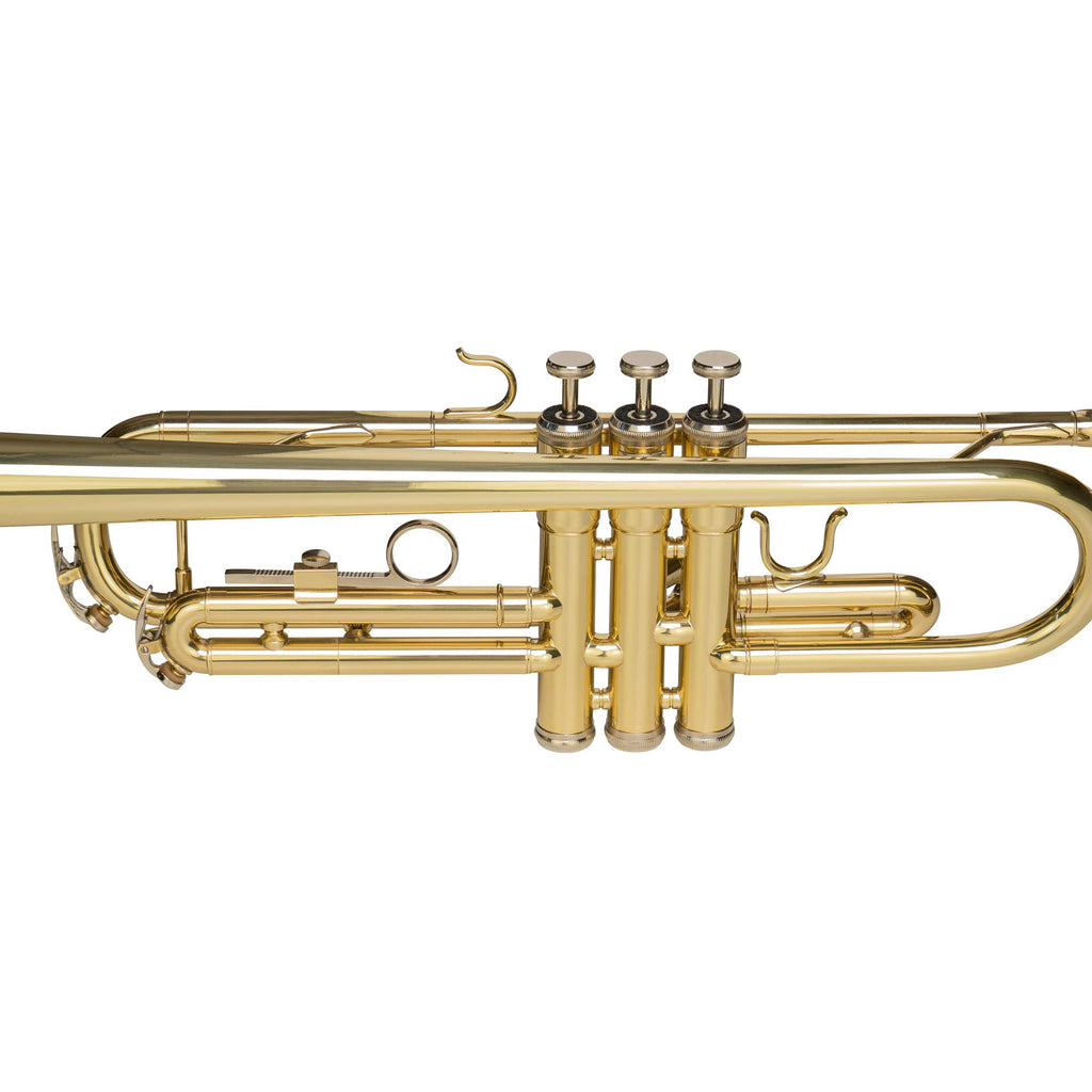 Bb Trumpet with Mouthpiece and Case W8731
