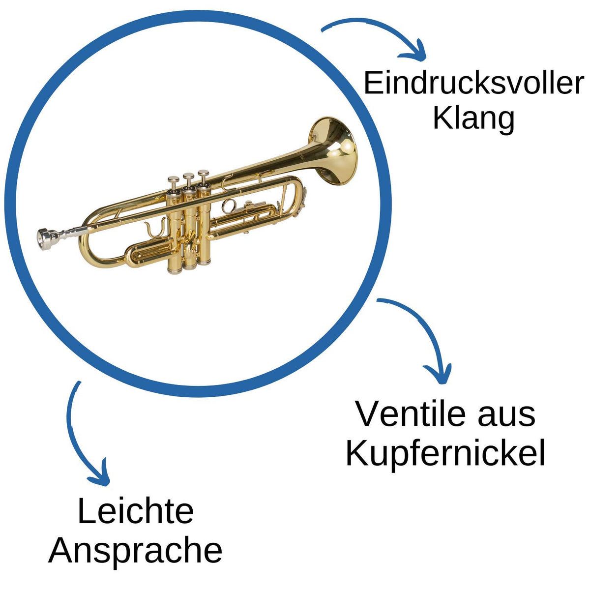 Bb Trumpet with Mouthpiece and Case W8731