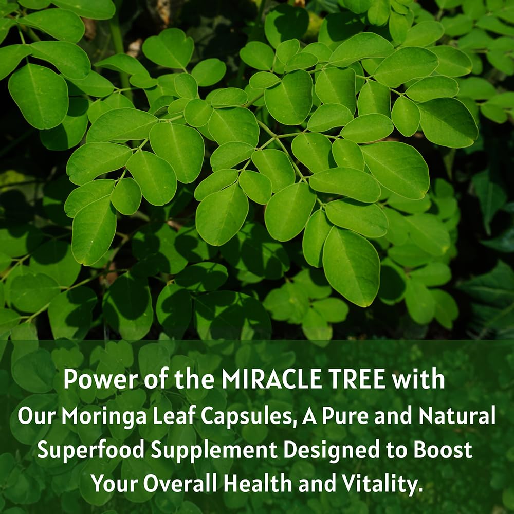 1000 mg Moringa Capsules H9859