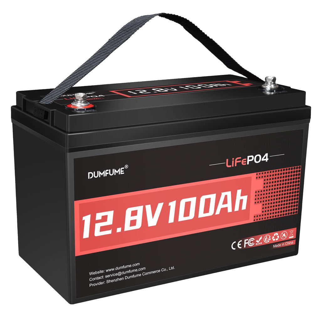 12V 100Ah LiFePO4 Battery Group 31 P969483