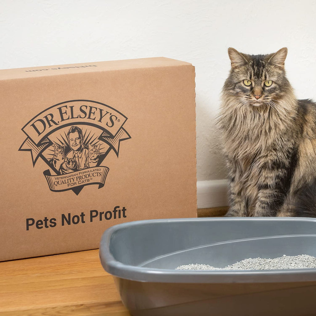 Clumping Clay Cat Litter 18 lb. Bag W640
