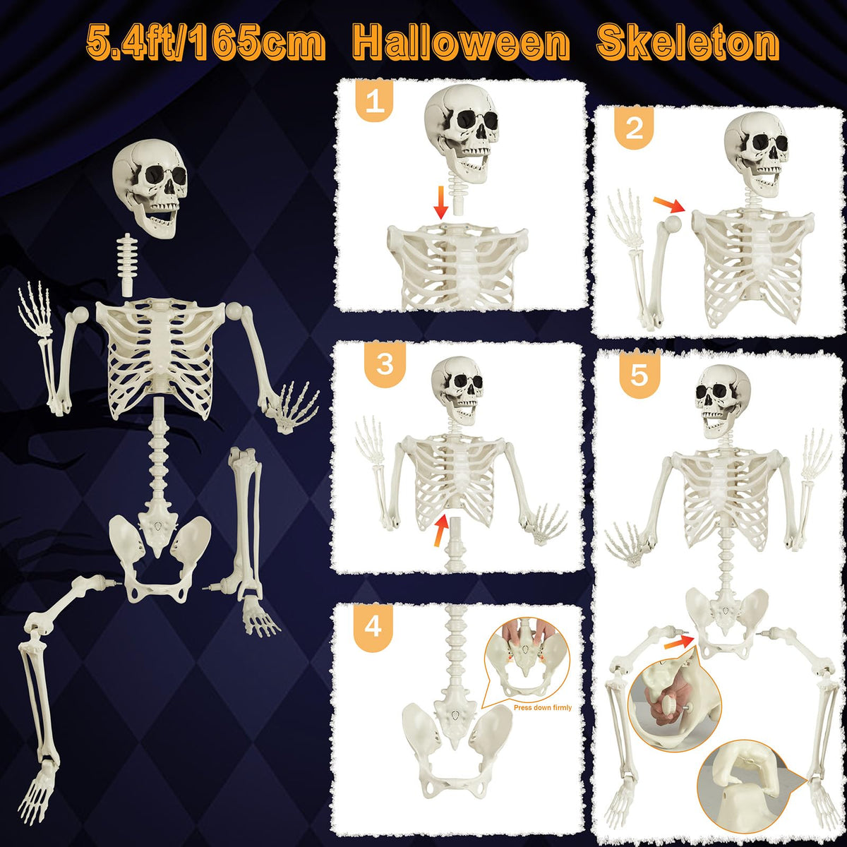 5.4ft Posable Skeleton Z171243