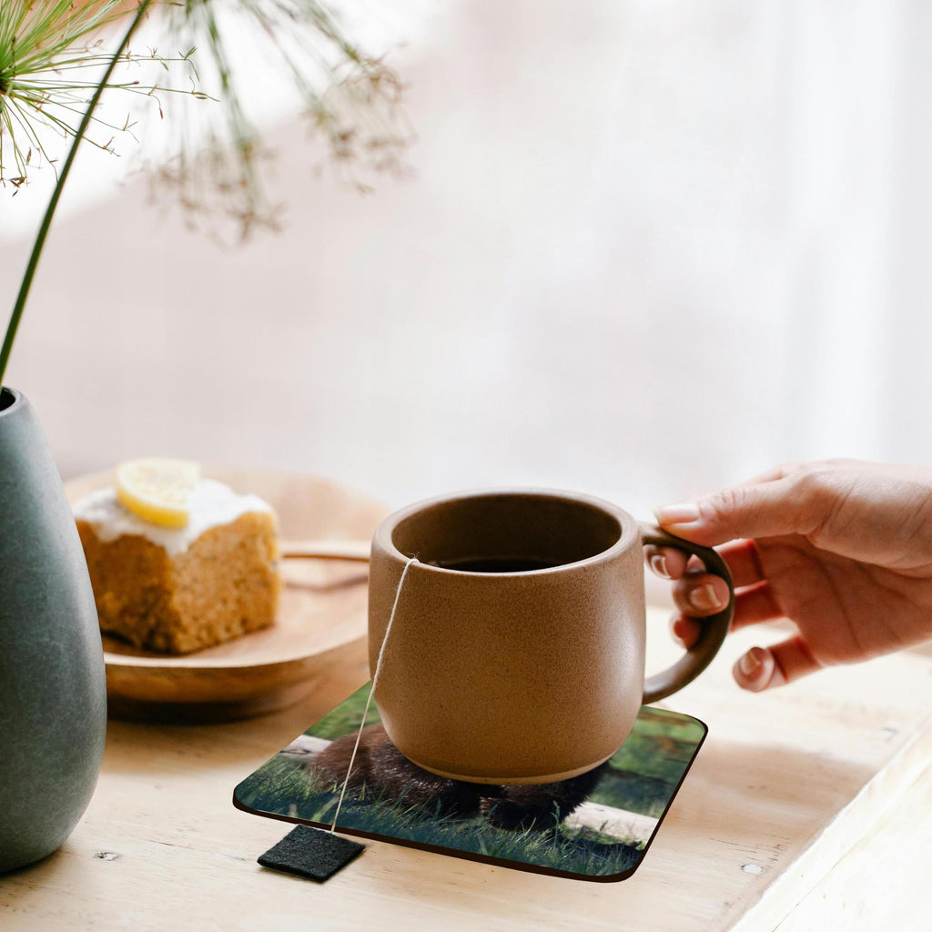 Set of 8 Cork Coasters P335