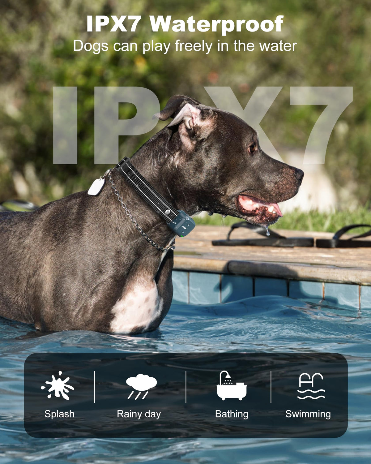 4500FT IPX8 Waterproof Rechargeable Dog Training Collar with Remote R613282