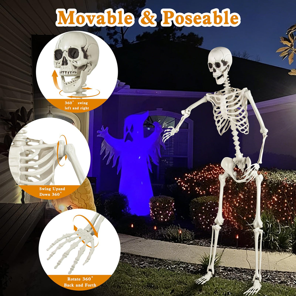 5.4ft Posable Skeleton Z171243