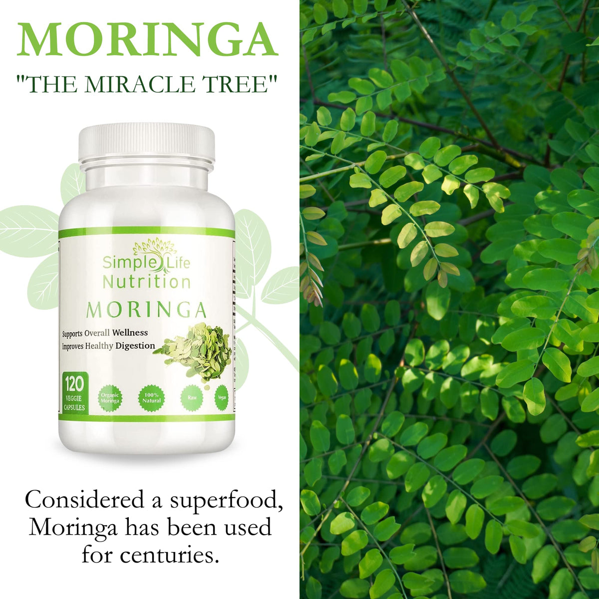 Organic Moringa Powder Capsules Q832
