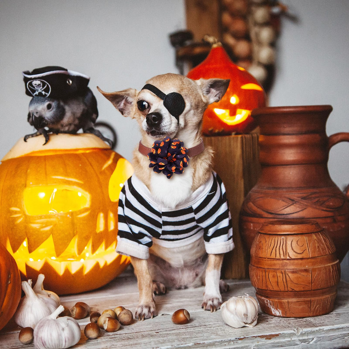 80 Pcs Halloween Dog Collar Flowers Bulk R359581