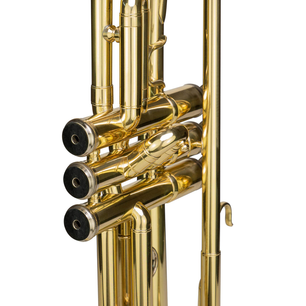 Bb Trumpet with Mouthpiece and Case W8731