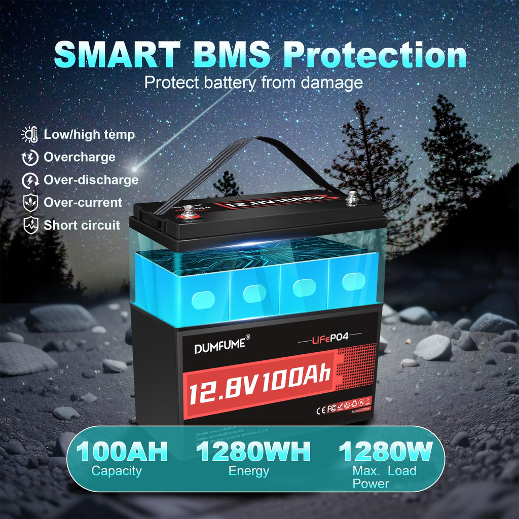 12V 100Ah LiFePO4 Battery Group 31 P969483