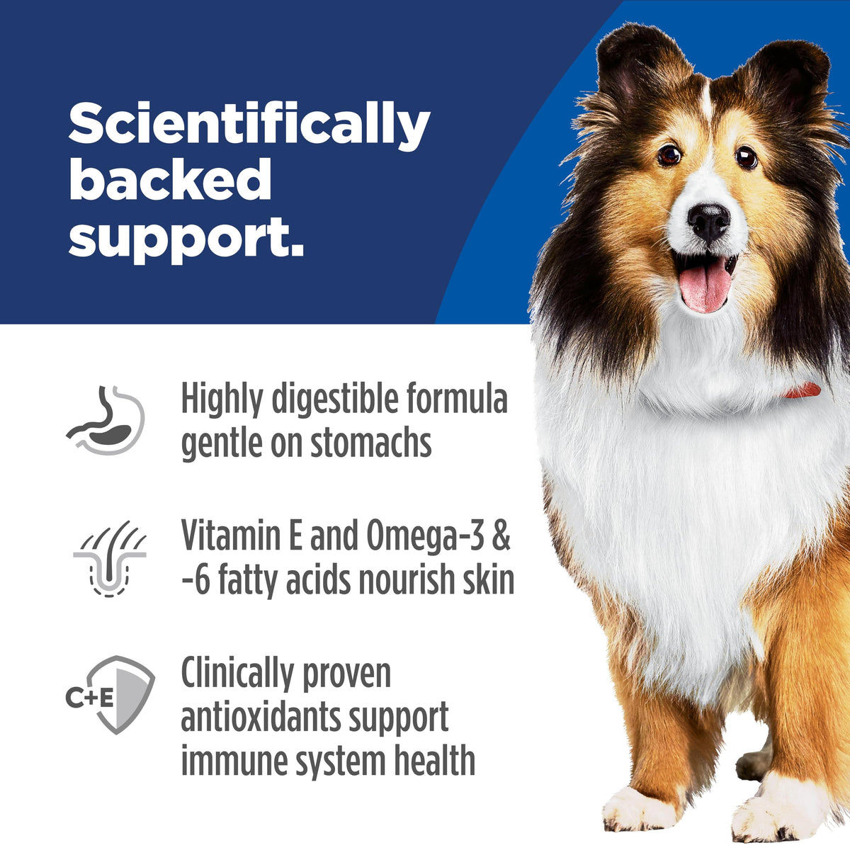 Sensitive Stomach & Skin Dry Dog Food F5496